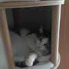 Odin m~2J such liebevolles zuhause