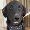 MARTHA (Martina)