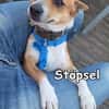 STÖPSEL