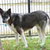 Billy sucht liebe Menschen