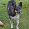 Billy sucht liebe Menschen