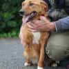 Shanto - kinderliebes Dreibein