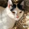 Florian, verschmuster Familienfreund, *in 55271 Stadecken