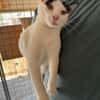 Florian, verschmuster Familienfreund, *in 55271 Stadecken