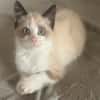 YUKI