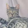 PRINCESSE
