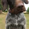 Trevor