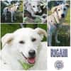 RIGANI  * eine Lady mit Tiefgang