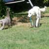 RIGANI  * eine Lady mit Tiefgang