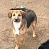 Capper ist noch etwas unsicher