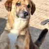 Capper ist noch etwas unsicher