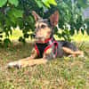 Zarte MOANA ❤ wünscht sich ein Für-immer-Zuhause