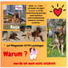 Die liebe 💕Raija 💕sucht ihre Menschen
