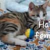 HAÏTI