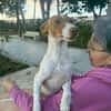 MARTINA (Martina)