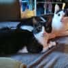 Paco et olympe