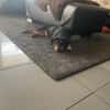 Sonnenschein sucht Zuhause
