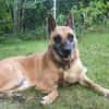 RUBY in 91616 Neusitz sucht