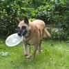 RUBY in 91616 Neusitz sucht