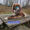 Vermittlungshilfe Aramis; 88239 Amtzell