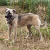 Bea - Familienanschluss gesucht
