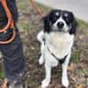Hermes - Wirbelwind sucht Landeplatz