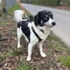 Hermes - Wirbelwind sucht Landeplatz