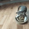 Berlioz