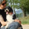BOB, petit chien affectueux