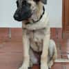 GALTA