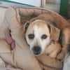CUCA