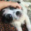 MOUFIA