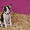 Starten Sie mit Lourdes ins Leben???