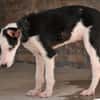 Starten Sie mit Lourdes ins Leben???