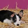 Starten Sie mit Lourdes ins Leben???