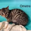 ometre