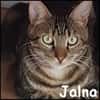 Jalna
