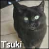 Tsuki