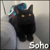 Soho