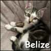 Belize