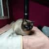 HERCO