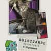 Bulbizarre