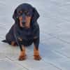 Carla sucht ihre Herzensmenschen ❤