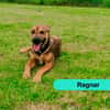 Ragnar
