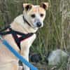 Arby 3/23 m auf der Suche
