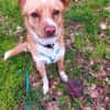 Prince sucht seine Prinzessin
