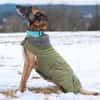 Herzenshund Kurt sucht Familie