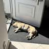 ARKON -Sonnengenießer mit Charakter-