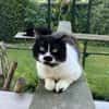 Knut - Fiverling sucht sein Happy End
