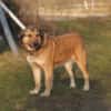 Anabelle - Altersruhesitz gesucht